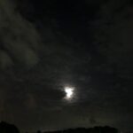 観音崎メバリング