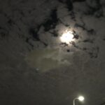 平潟湾チニング